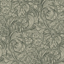 Hedgerovia Green Wallpaper