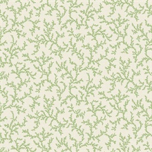 Herb Leaf Coral Toile Corail Wallpaper