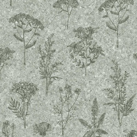 Herbarium Hues Herbs and Grass Sage Green Cork Texture Wallpaper