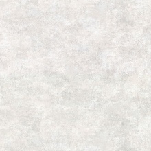 Hereford Light Grey Faux Plaster Vinyl Wallpaper