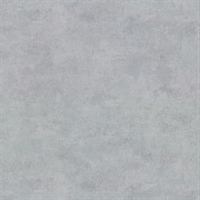 Hereford Pewter Faux Plaster Vinyl Wallpaper
