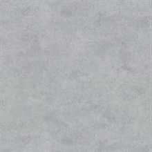 Hereford Pewter Faux Plaster Vinyl Wallpaper