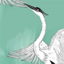 Painterly Heron in Mint Wallpaper