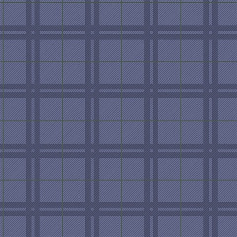 Hilary Blue Plaid