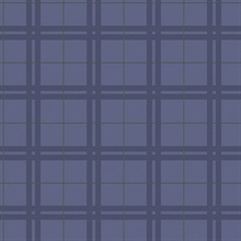Hilary Blue Plaid