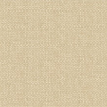 Hip Beige Texture