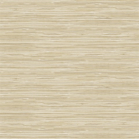 Holiday String Beige Texture