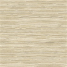Holiday String Beige Texture