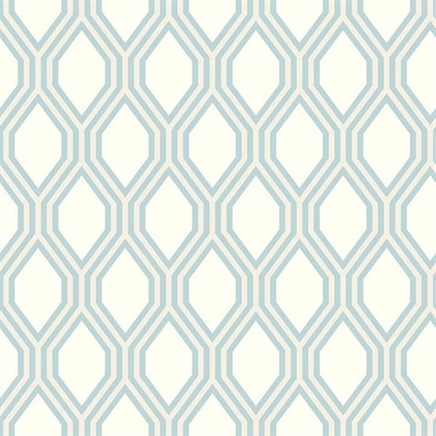 Honeycomb Light Blue Geometric