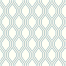 Honeycomb Light Blue Geometric