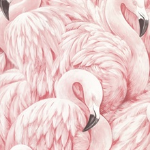 Horace Light Pink Flamingos Wallpaper