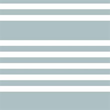 Horizontal Scholarship Stripe