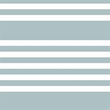 Horizontal Scholarship Stripe