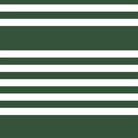 Horizontal Scholarship Stripe