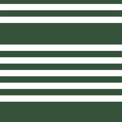 Horizontal Scholarship Stripe