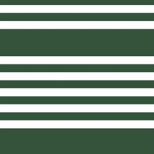 Horizontal Scholarship Stripe