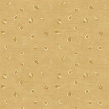 Hubble Dots