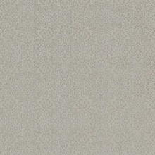 Hudson Brass Lace Mini