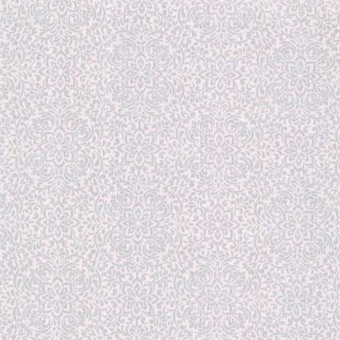 Hudson Light Grey Lace Mini