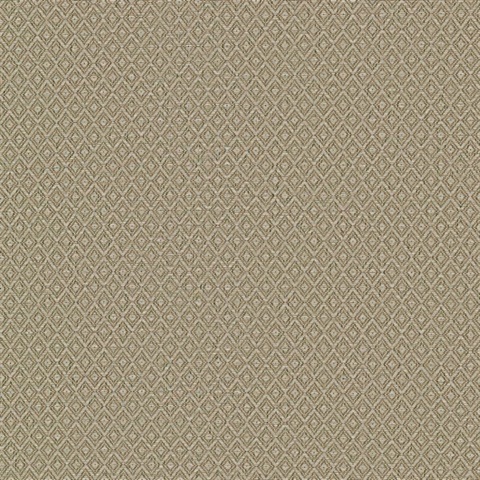 Hui Light Brown Paper Weave Grasscloth Wallpaper