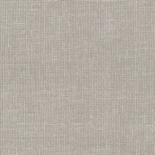 Huri Grey Wallpaper