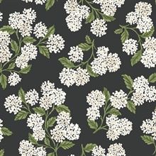 Hydrangea Black & White Peel & Stick Wallpaper
