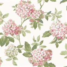 AK7443 | Hydrangea | Wallpaper Boulevard