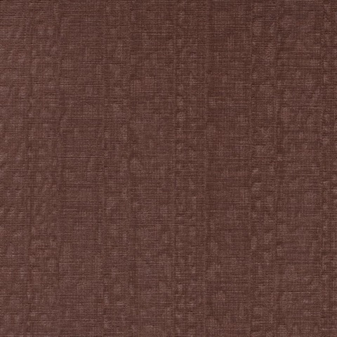 Illusive Scarlet Macaw