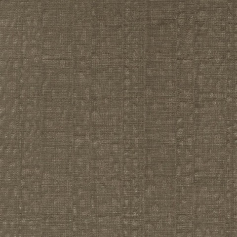 Illusive Tree Lizard