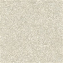 Impression Grey Wallpaper