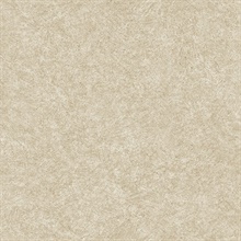 Impression Sand Wallpaper