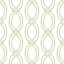 Infinity Light Green Geometric Stripe