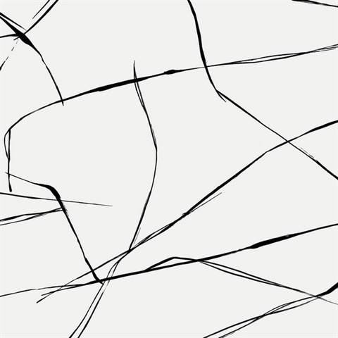 Inkwork Abstract Abstract Ebony & Eggshell Peel and Stick Wallpaper