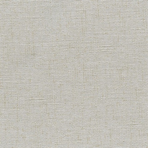 Insight School Collection Illuminating