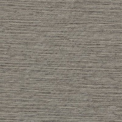 Interloom Shadow
