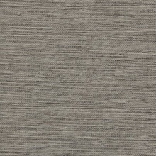 Interloom Shadow