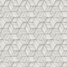 Ypsilon Grey Wave Geometric Wallpaper