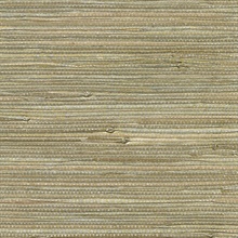 Iriga Platinum Grasscloth