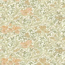 Iris Light Green Wild Gardens Wallpaper