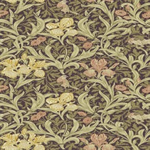Iris Plum Wild Gardens Wallpaper