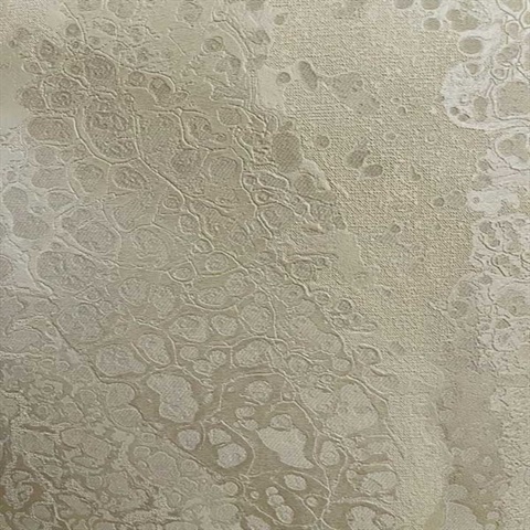 Ivory Celestial Metallic Textured Wallpaper