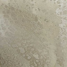 Ivory Celestial Metallic Textured Wallpaper