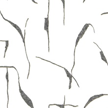 Ivory Coast Black & Gold Peel & Stick Wallpaper