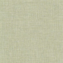 Jacquard Weave Kiwi