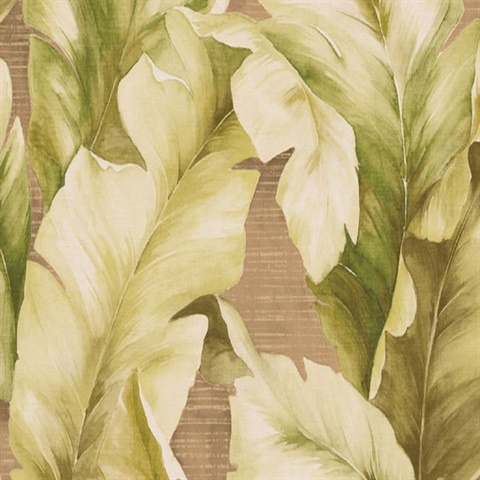 TR20304 | Jamaica Leaves | Wallpaper Boulevard