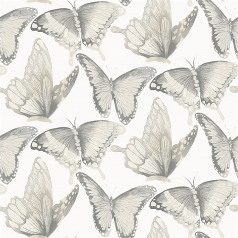 Janetta Grey Butterfly Wallpaper