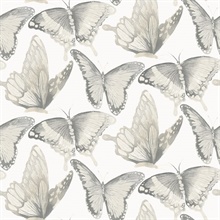 Janetta Grey Butterfly Wallpaper