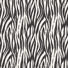 Jazz Onyx Modern Vertical Zebra  Wallpaper