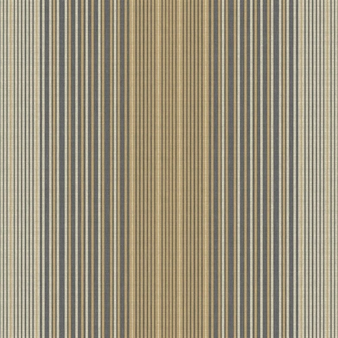 Jeannie Stripe