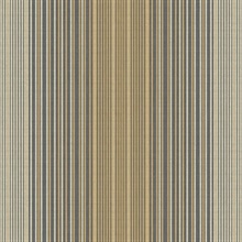 Jeannie Stripe